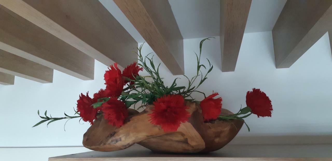 Vila Mojca Apartments Jasna & Jelka Kranjska Gora Extérieur photo